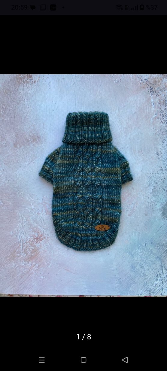 Örgü Köpek Kazağı ve Mama Tabağı - Görsel 2