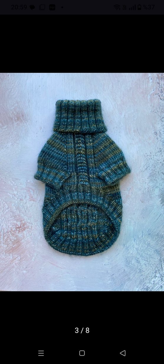 Örgü Köpek Kazağı ve Mama Tabağı - Görsel 3