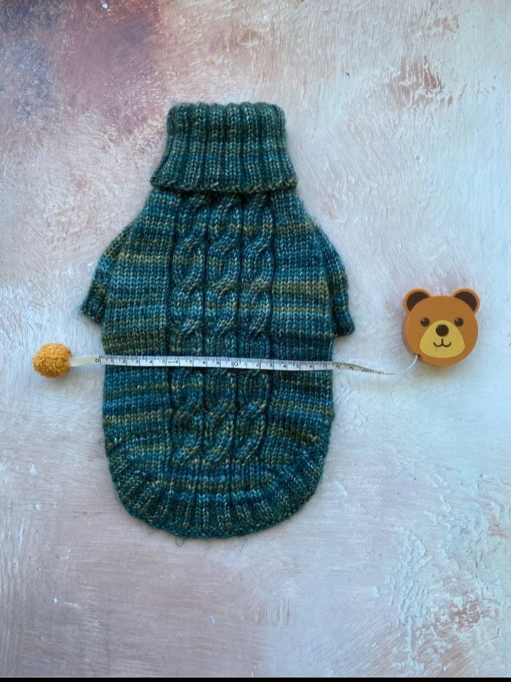 Örgü Köpek Kazağı ve Mama Tabağı - Görsel 5