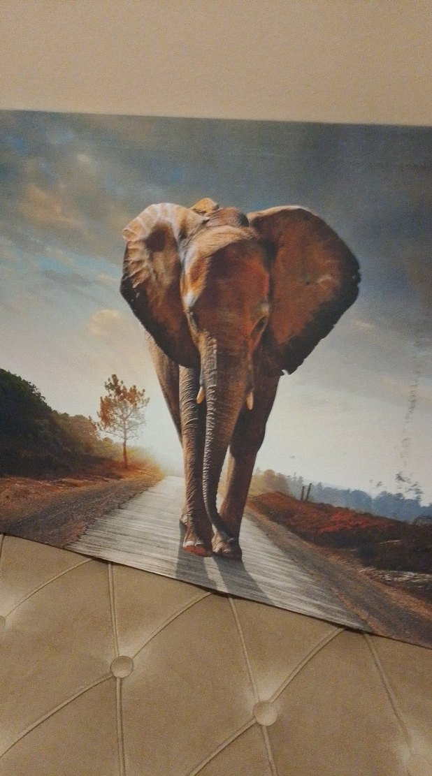 Filli Kanvas Tablo - Görsel 3