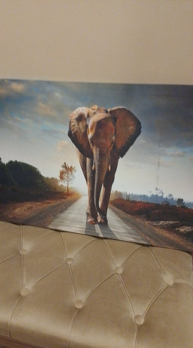 Filli Kanvas Tablo - Görsel 2