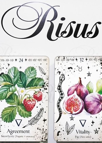 Green Witch Oracle Kehanet Kartları - Görsel 3