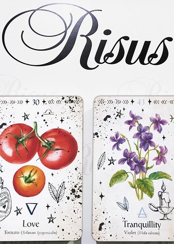 Green Witch Oracle Kehanet Kartları - Görsel 10