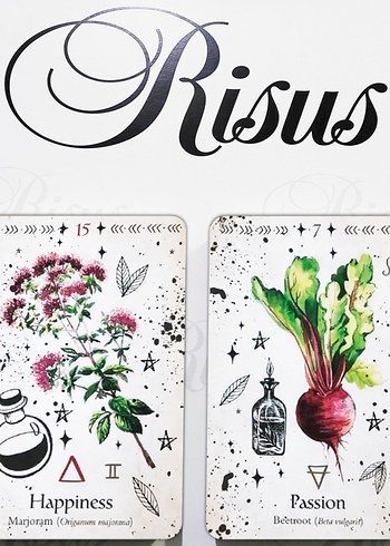 Green Witch Oracle Kehanet Kartları - Görsel 9