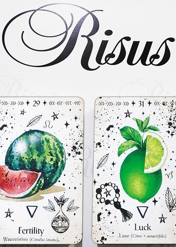 Green Witch Oracle Kehanet Kartları - Görsel 4