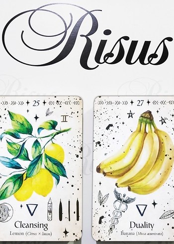 Green Witch Oracle Kehanet Kartları - Görsel 8