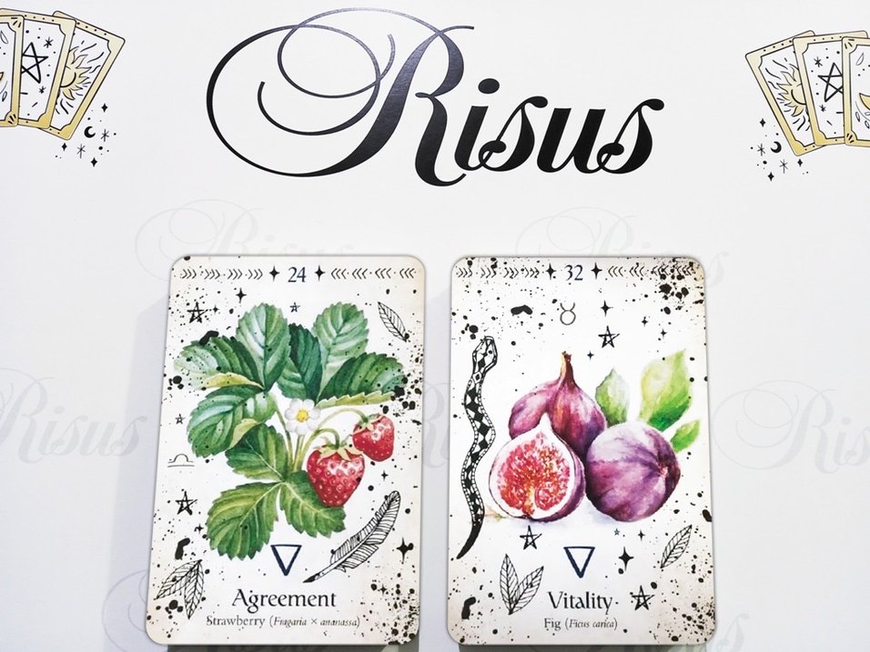 Green Witch Oracle Kehanet Kartları - Görsel 3