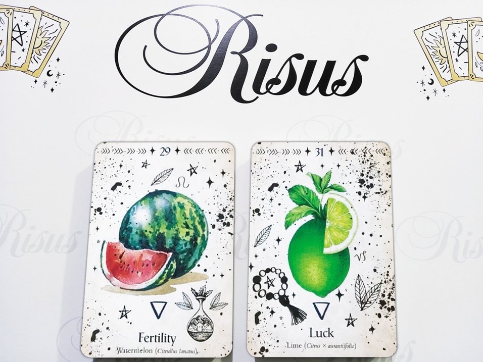 Green Witch Oracle Kehanet Kartları - Görsel 4