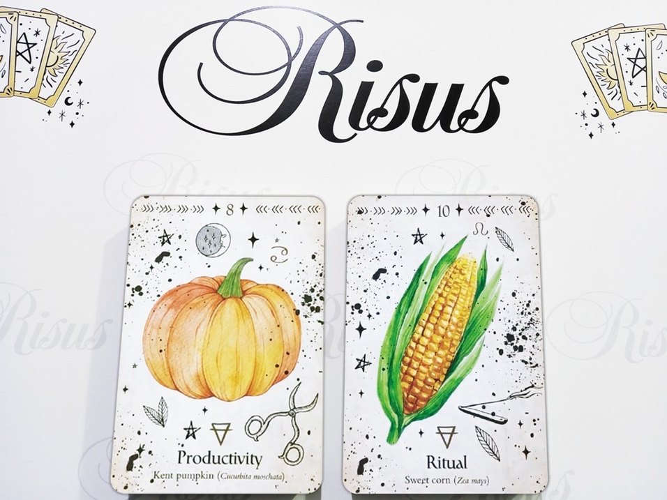 Green Witch Oracle Kehanet Kartları - Görsel 5