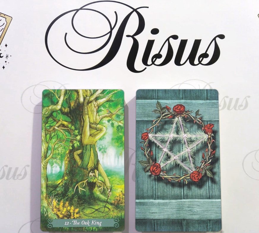 Green Witch Tarot Kartları - Görsel 2