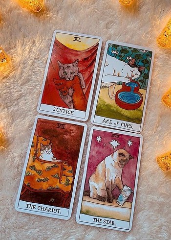 Cat Tarot Destesi - Görsel 2