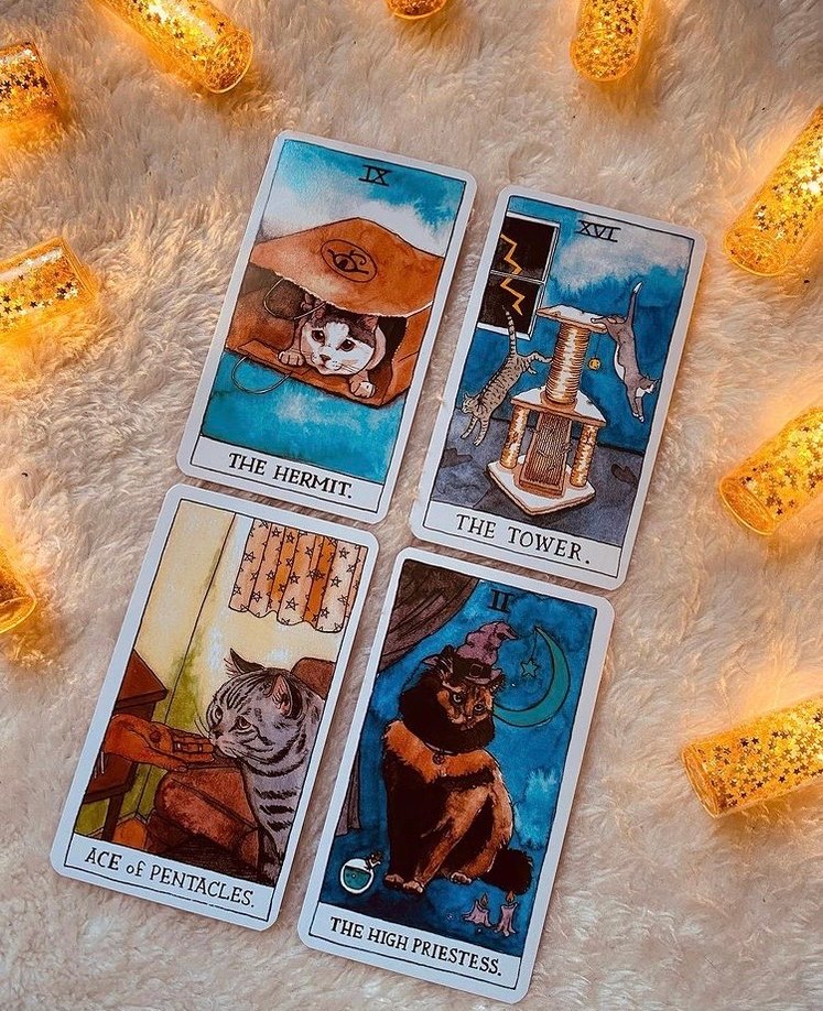 Cat Tarot Destesi - Görsel 3
