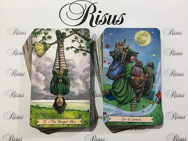  Everyday Witch Tarot Kartları