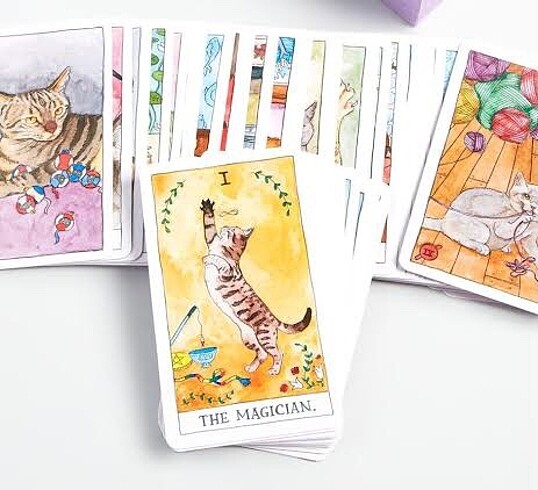 Cat Tarot Kartları Destesi