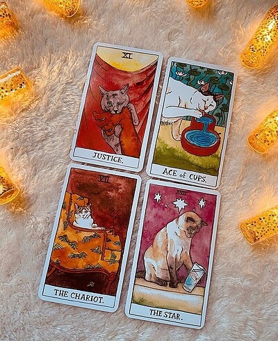 Beden Renk Cat Tarot Destesi
