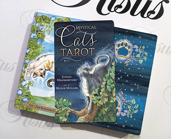 Mystical Cats Tarot Destesi