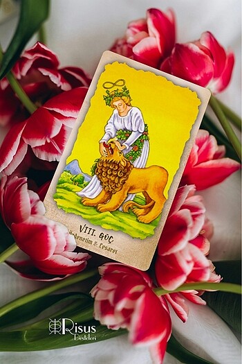 Beden Renk Risus Tarot Destesi ? Anahtar Kelimelerle