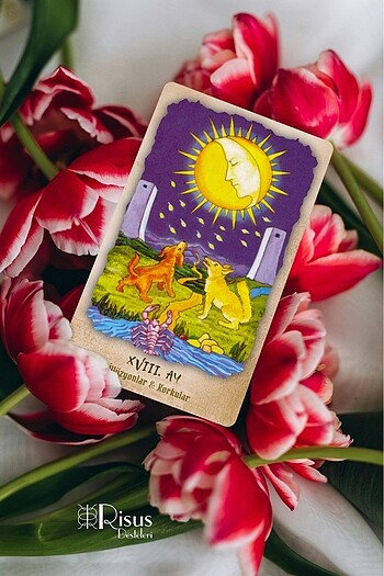Risus Tarot Destesi ? Anahtar Kelimelerle