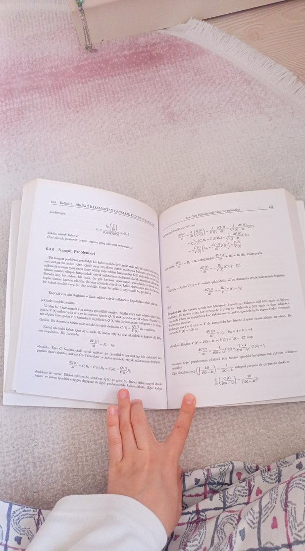 Diferensiyel Denklemler - Teori Teknik ve Uygulamalı - Görsel 3