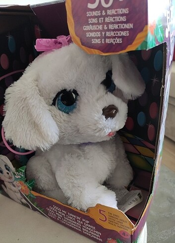 Beden Renk Fur Real Dans Eden Köpek Yavrusu Gogo