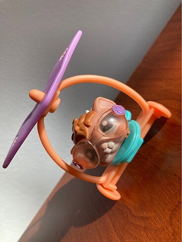 Hamster miniş özel ilan