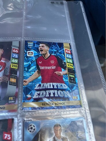 Limited Shick
