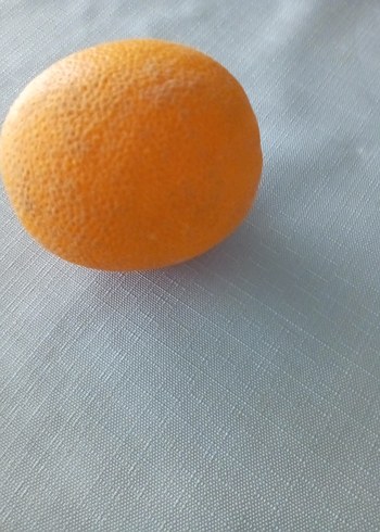 Dekoratif meyvalar - Görsel 10