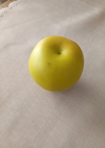 Dekoratif meyvalar - Görsel 8