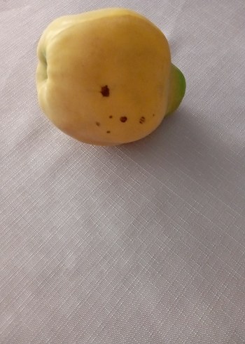 Dekoratif meyvalar - Görsel 12