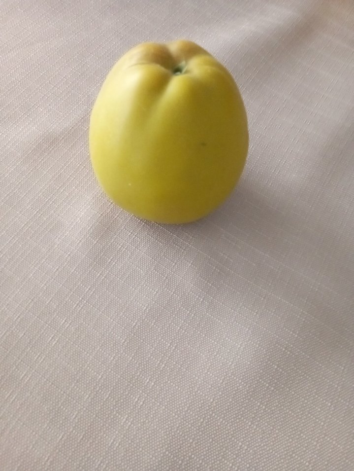 Dekoratif meyvalar - Görsel 4