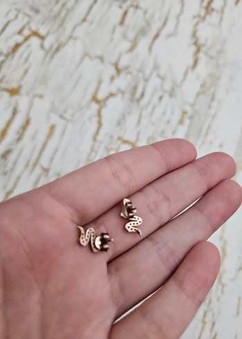  Beden altın Renk Yılan Desenli Küpe 925 ayar gümüş