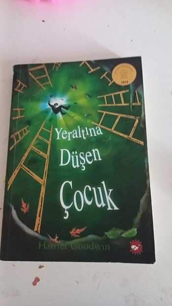 Yeraltına düşen çocuk hürriyet goodwin 