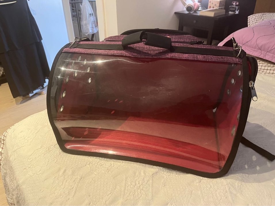 Kedi çantası - Görsel 2