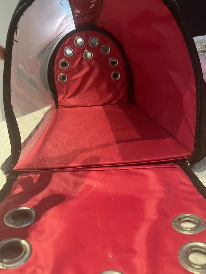 Kedi çantası - Görsel 4