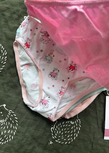 Pastel Renkli Baskılı Kız Çocuk Külot 2-3 Yaş - Görsel 2