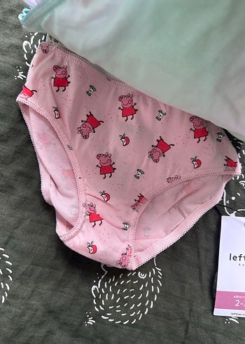 Pastel Renkli Baskılı Kız Çocuk Külot 2-3 Yaş - Görsel 4