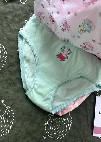 Pastel Renkli Baskılı Kız Çocuk Külot 2-3 Yaş - Görsel 3