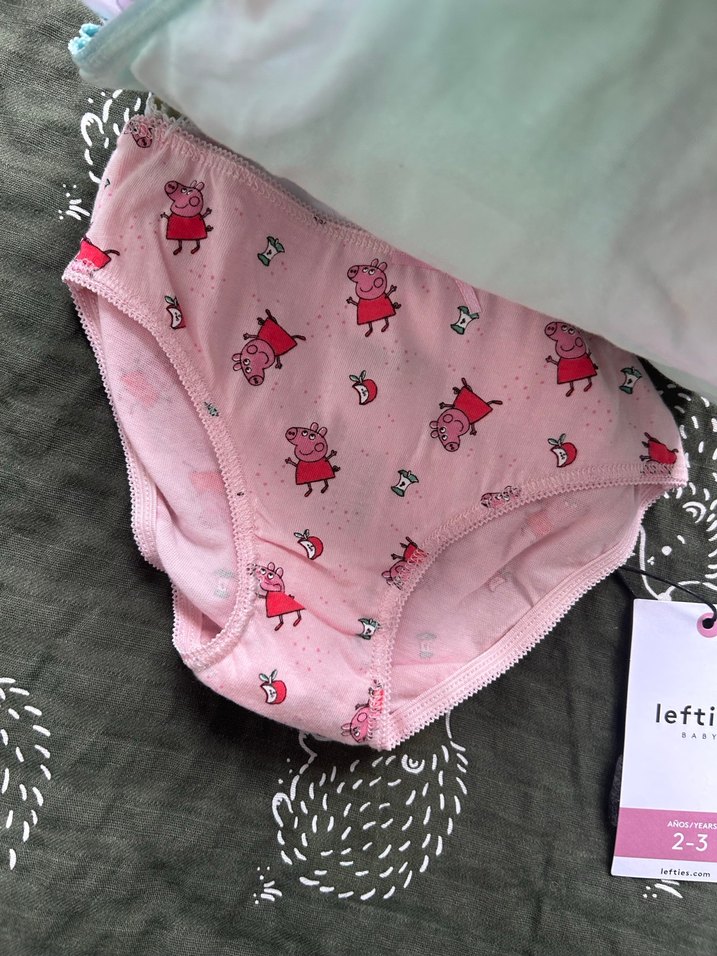 Pastel Renkli Baskılı Kız Çocuk Külot 2-3 Yaş - Görsel 4