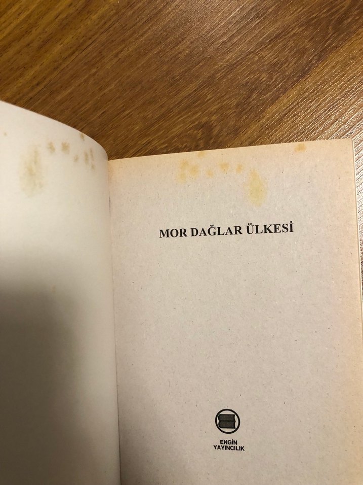 Mor Dağlar Ülkesi Çocuk Kitabı - Görsel 3
