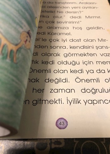 Köpek Olmak İsteyen Kedi - Öznur Karaeloğlu - Görsel 4