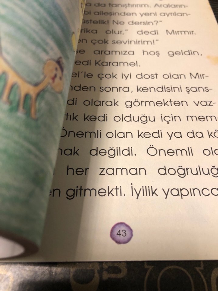 Köpek Olmak İsteyen Kedi - Öznur Karaeloğlu - Görsel 4