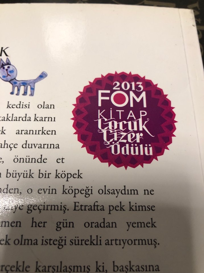 Köpek Olmak İsteyen Kedi - Öznur Karaeloğlu - Görsel 3