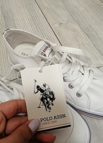 U.S Polo Assn. Converse