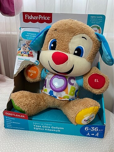 Eğitici köpek