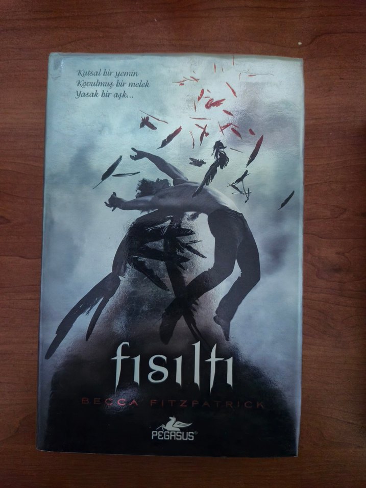 Hush Hush Serisi - Fısıltı Roman Seti - Görsel 2