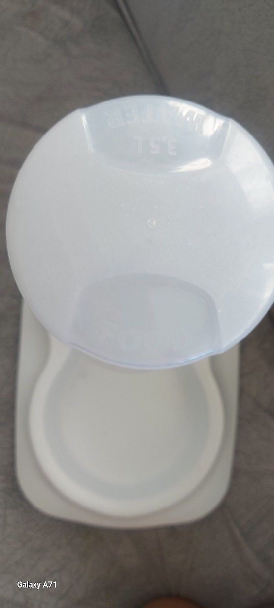 Beyaz kedi mama ve su Kabı - Görsel 2