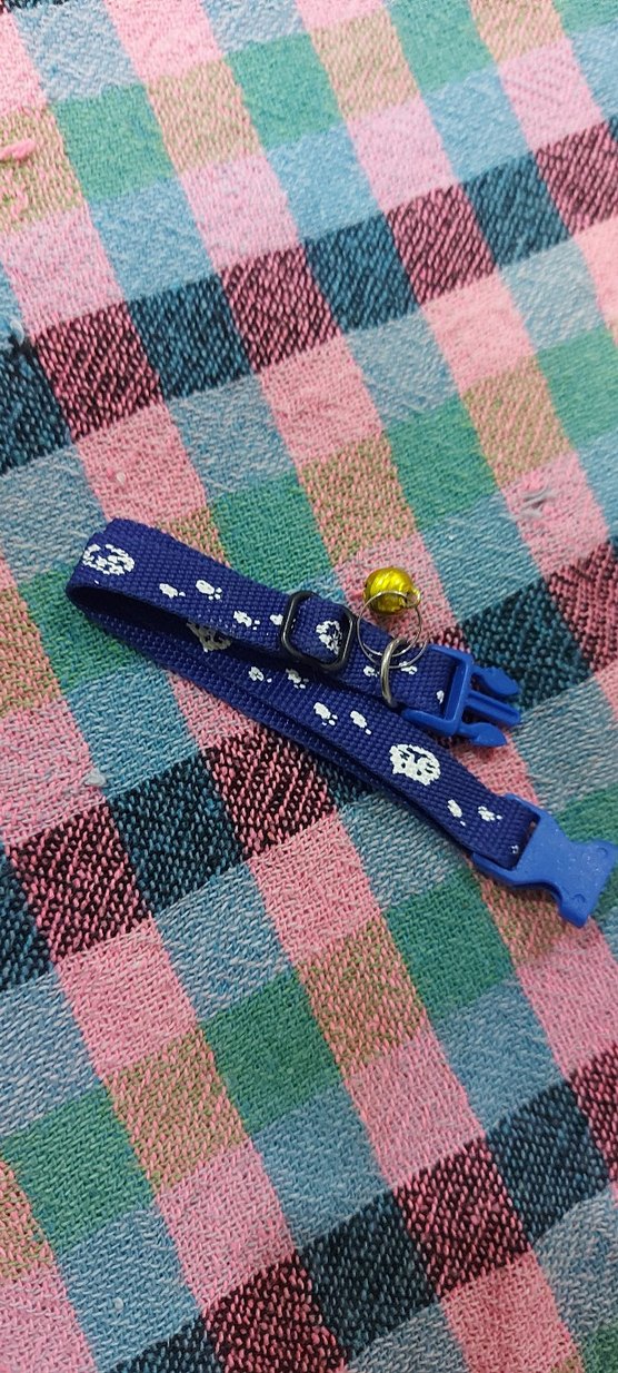 Çok Renkli Kedi Tasması - Görsel 2