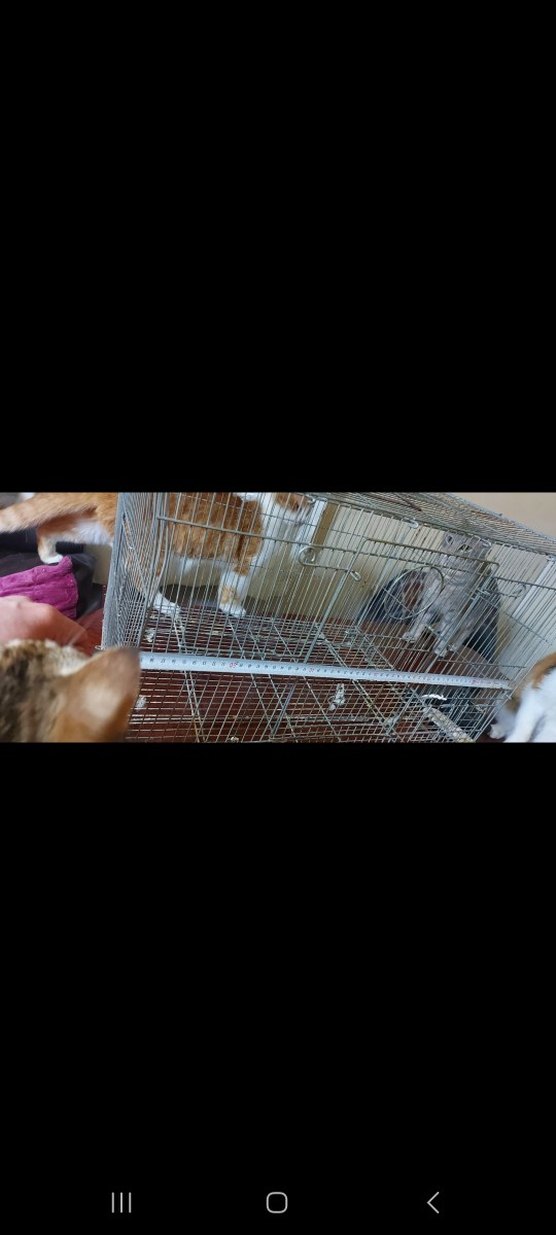 Gri Metal  kuş Kafesi - Görsel 3