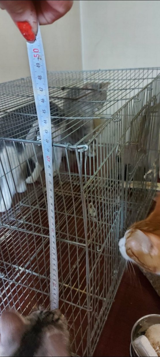 Gri Metal  kuş Kafesi - Görsel 2