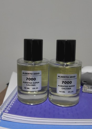 Alberto Sego Aventus Super Çalışma